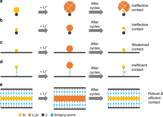 Stable high-capacity and high-rate silicon-based lithium battery anodes  upon two-dimensional covalent encapsulation | Nature Communications