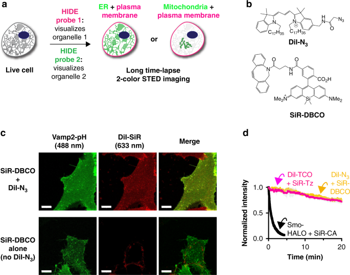 Two-color nanoscopy of organelles for extended times with HIDE