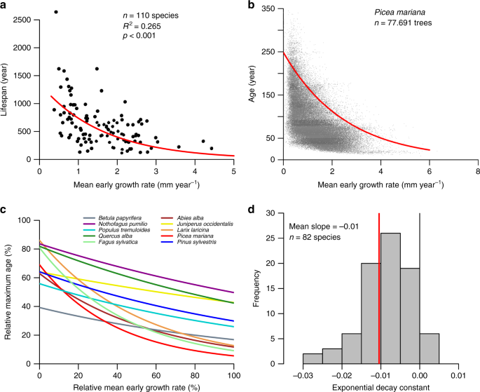 Forest Carbon Sink Neutralized By Pervasive Growth Lifespan Trade Offs Nature Communications