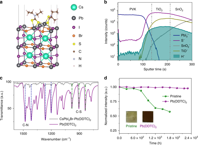 Surface Chelation Of Cesium Halide Perovskite By Dithiocarbamate For Efficient And Stable Solar Cells Nature Communications