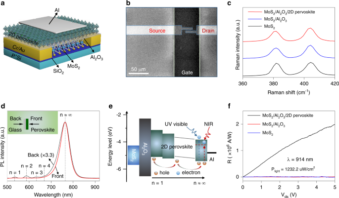 Rational Design Of Al 2 O 3 2d Perovskite Heterostructure Dielectric For High Performance Mos 2 Phototransistors Nature Communications