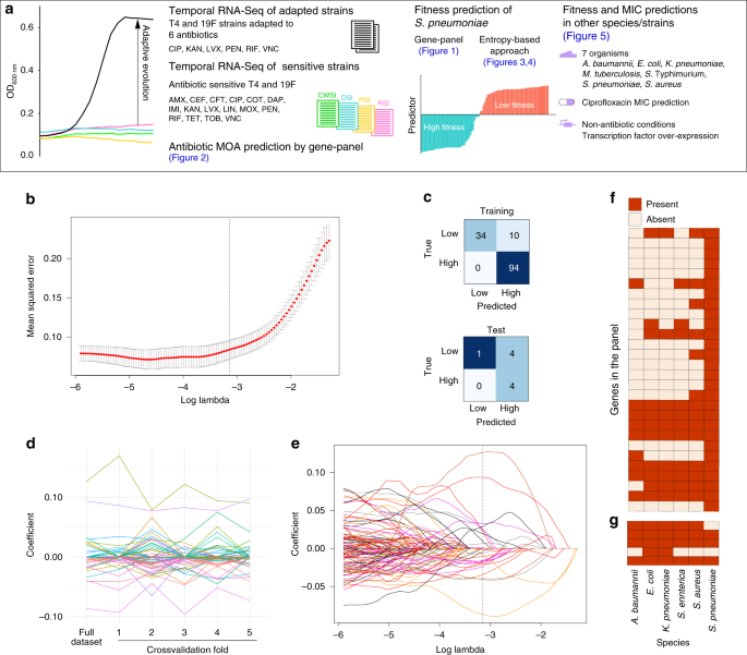 Entropy Of A Bacterial Stress Response Is A Generalizable Predictor For Fitness And Antibiotic Sensitivity Nature Communications