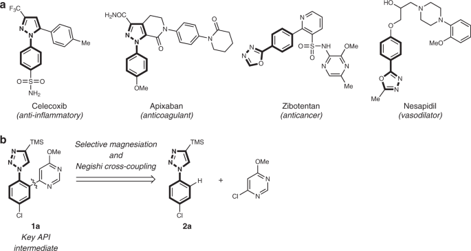 Regioselective Functionalization Of Aryl Azoles As Powerful Tool For The Synthesis Of Pharmaceutically Relevant Targets Nature Communications