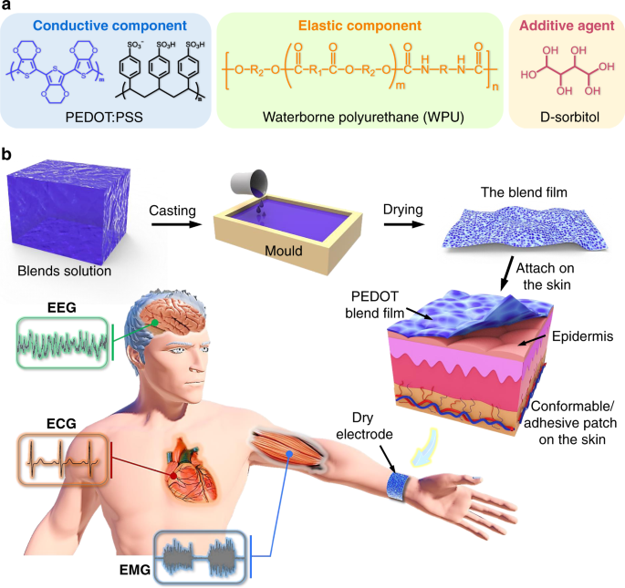 Hydrogel electrodes with conductive and substrate-adhesive layers