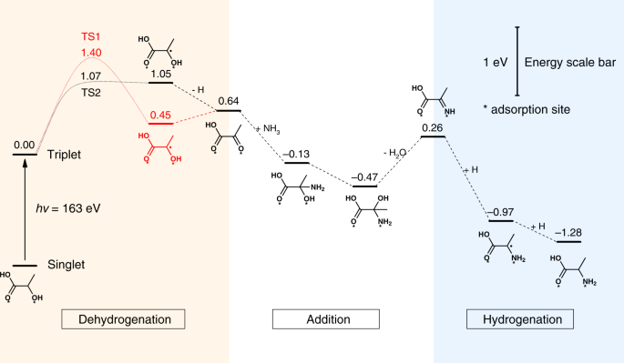 Visible-light-driven amino acids production from biomass-based feedstocks  over ultrathin CdS nanosheets | Nature Communications