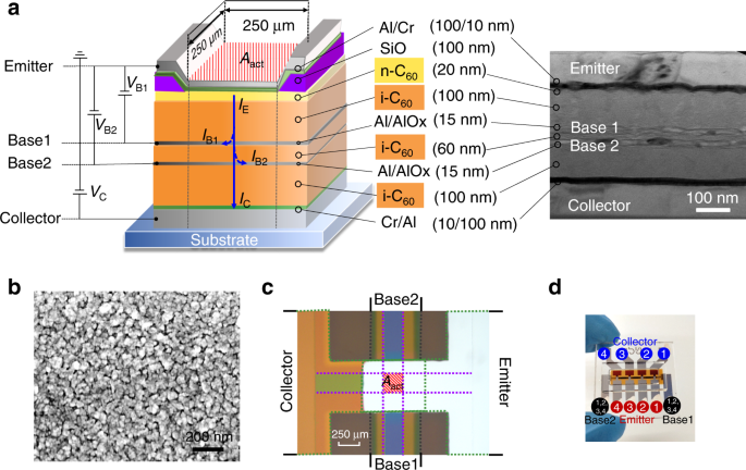 Vertical organic permeable dual-base transistors for logic circuits |  Nature Communications