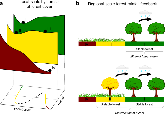 Hysteresis of tropical forests in the 21st century | Nature Communications