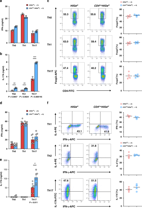 HIF-2α is indispensable for regulatory T cell function