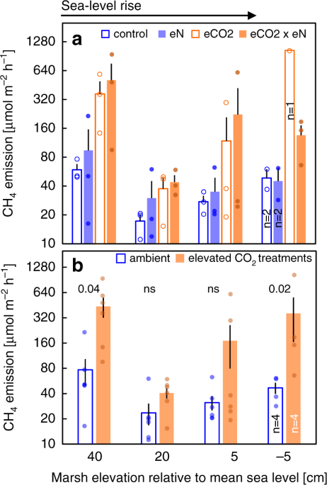 Plant species determine tidal wetland methane response to sea level rise
