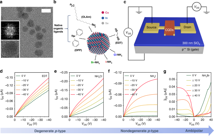 Solution-processable integrated CMOS circuits based on colloidal CuInSe2 quantum dots