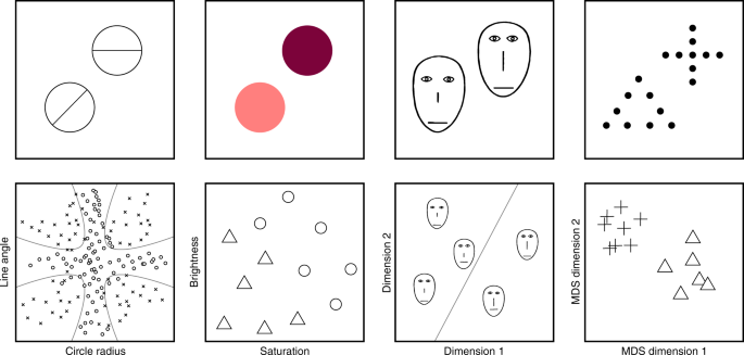 Capturing Human Categorization Of Natural Images By Combining Deep Networks And Cognitive Models Nature Communications