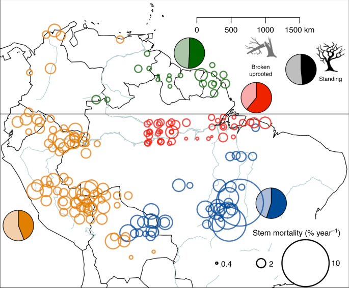 Tree mode of death and mortality risk factors across Amazon forests |  Nature Communications