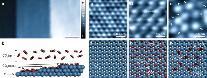 Molecules  October-1 2020 - Browse Articles