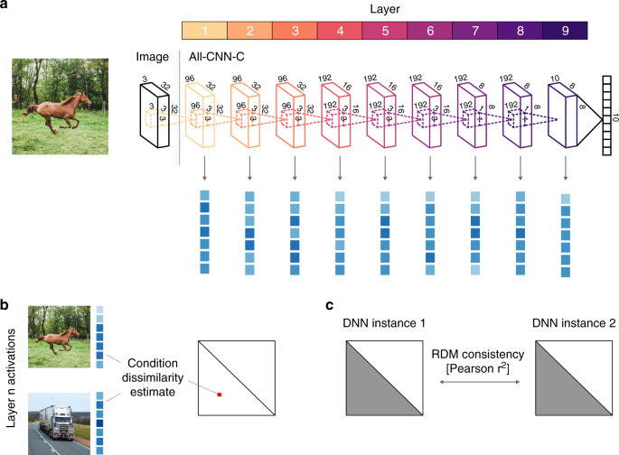 Individual differences among deep neural network models | Nature Communications