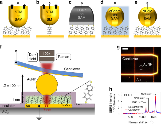 Optical Probes Of Molecules As Nano Mechanical Switches Nature Communications