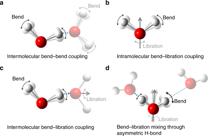 Vibrational couplings and energy transfer pathways of water's bending mode  | Nature Communications