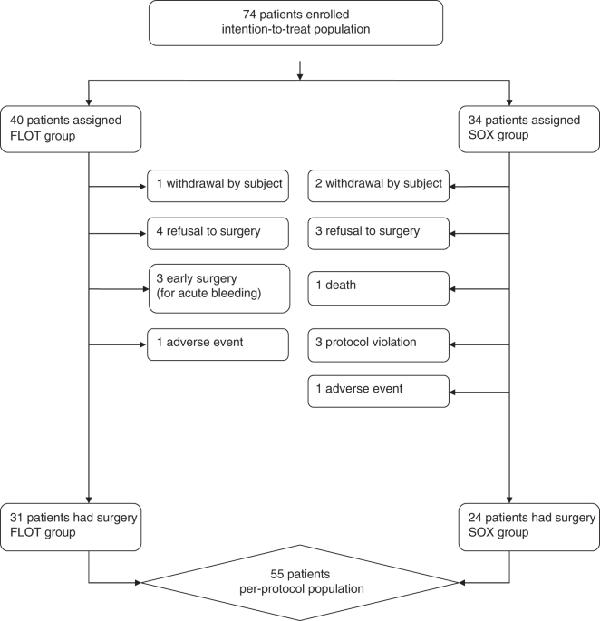 gastric cancer flot regimen