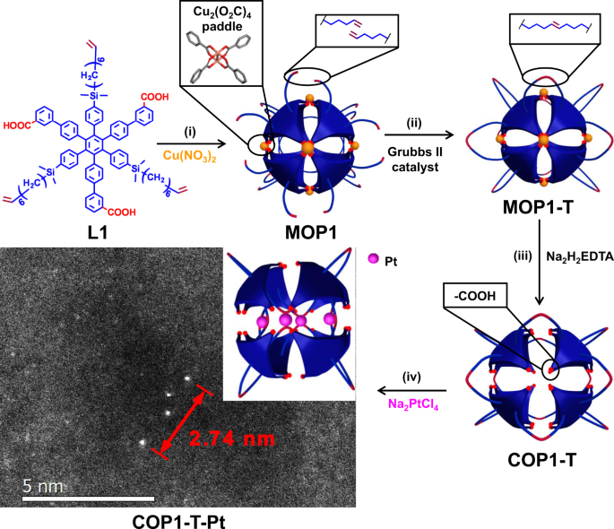 Biomimetic Caged Platinum Catalyst For Hydrosilylation Reaction With High Site Selectivity Nature Communications