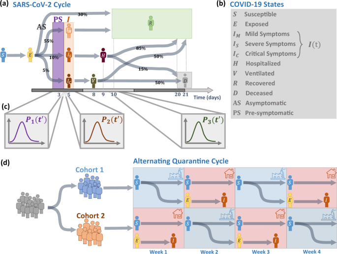 Alternating Quarantine For Sustainable Epidemic Mitigation Nature Communications