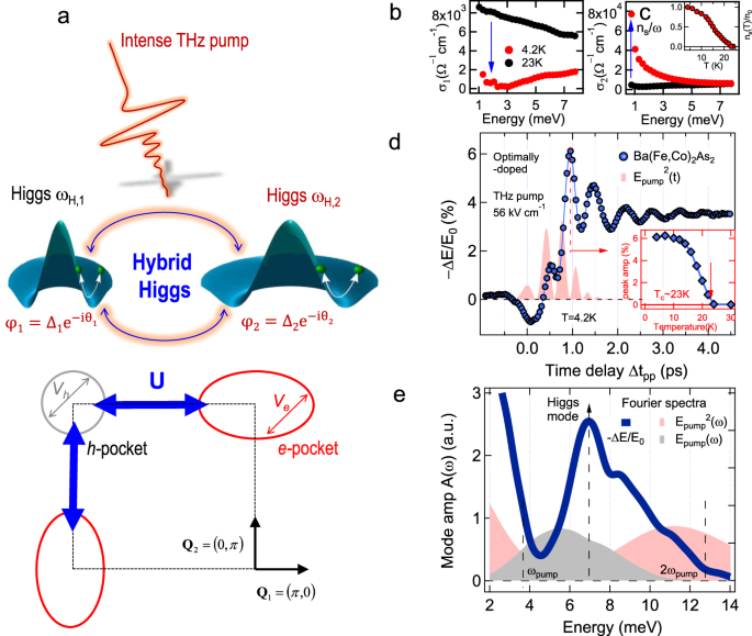 Light Quantum Control Of Persisting Higgs Modes In Iron Based Superconductors Nature Communications