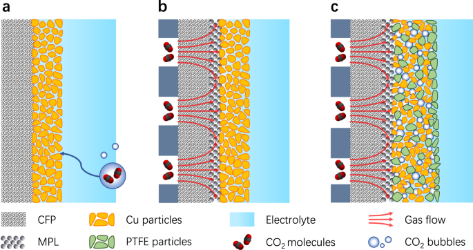 Enhancing carbon dioxide gas-diffusion electrolysis by creating a  hydrophobic catalyst microenvironment | Nature Communications