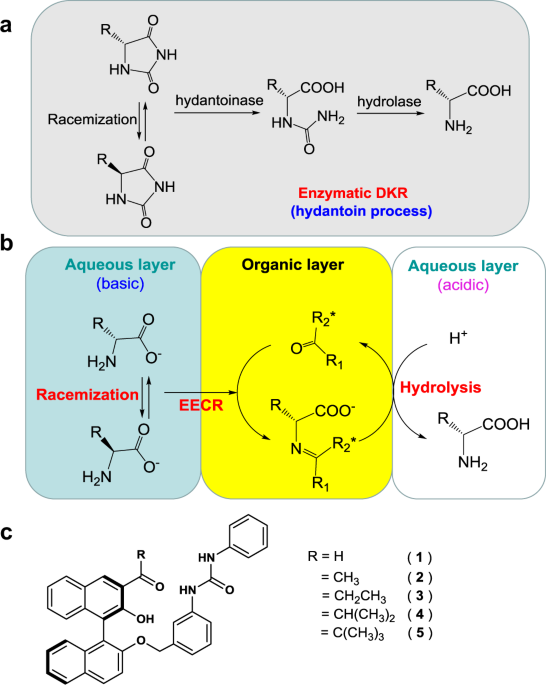 Enantioselective extraction of unprotected amino acids coupled with  racemization | Nature Communications