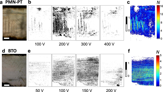 Avalanche Criticality During Ferroelectric Ferroelastic Switching Nature Communications