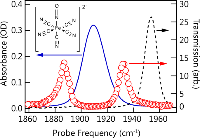 Excited State Vibration Polariton Transitions And Dynamics In Nitroprusside Nature Communications