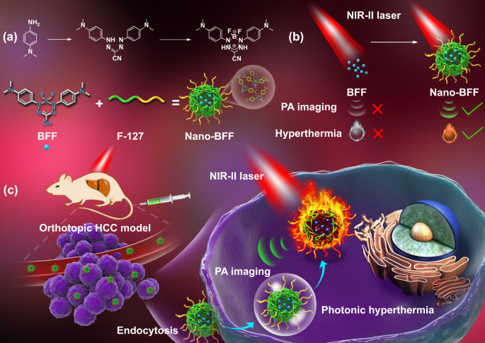 Self Assembled Organic Nanomedicine Enables Ultrastable Photo To Heat Converting Theranostics In The Second Near Infrared Biowindow Nature Communications
