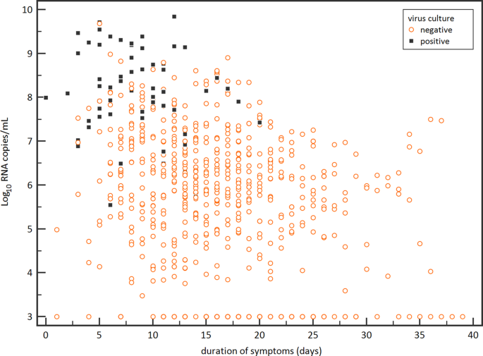 Are these golden hamsters a key to cracking long Covid? - STAT