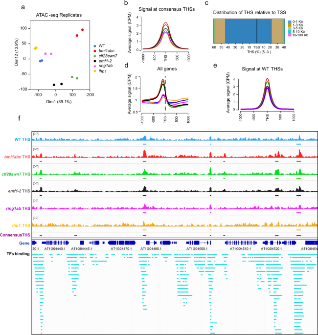 H2ak121ub In Arabidopsis Associates With A Less Accessible Chromatin State At Transcriptional Regulation Hotspots Nature Communications