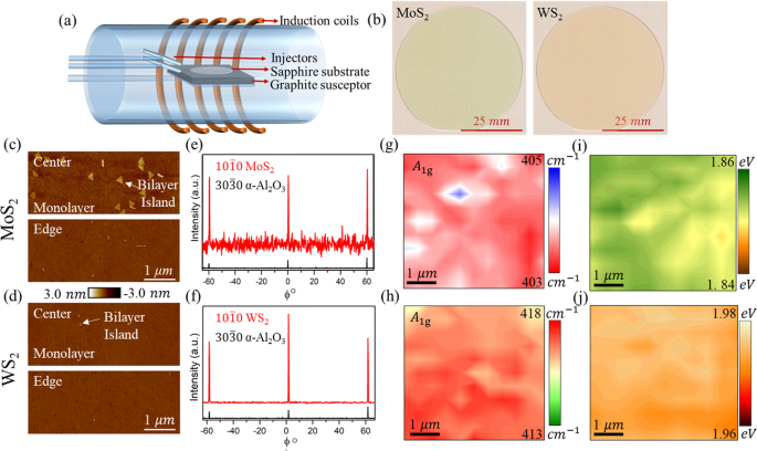 Benchmarking Monolayer Mos2 And Ws2 Field Effect Transistors Nature Communications