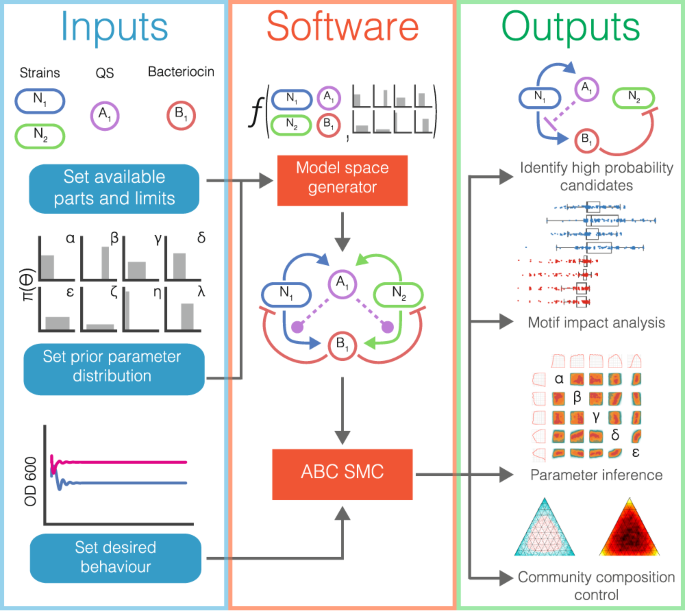 Automated design of synthetic microbial communities | Nature Communications