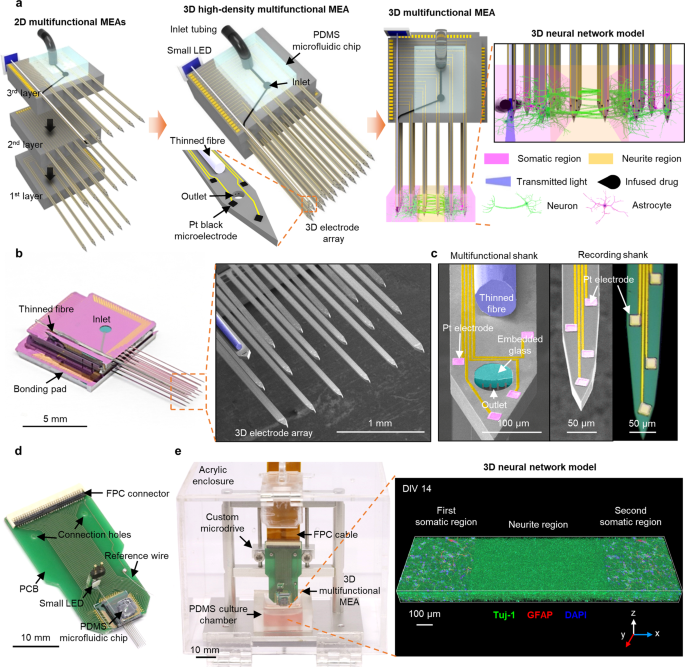 Stoop Opera Fahrenheit 3D high-density microelectrode array with optical stimulation and drug  delivery for investigating neural circuit dynamics | Nature Communications