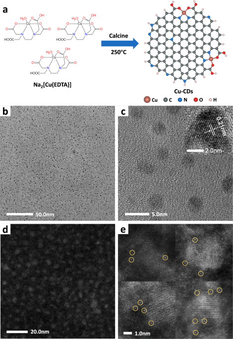 Insights On Forming N O Coordinated Cu Single Atom Catalysts For Electrochemical Reduction Co 2 To Methane Nature Communications