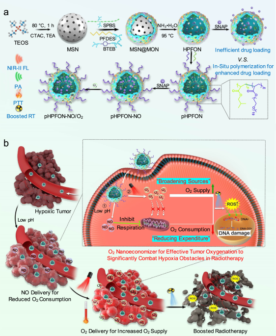 A hybrid semiconducting organosilica-based O2 nanoeconomizer for on-demand synergistic photothermally boosted radiotherapy