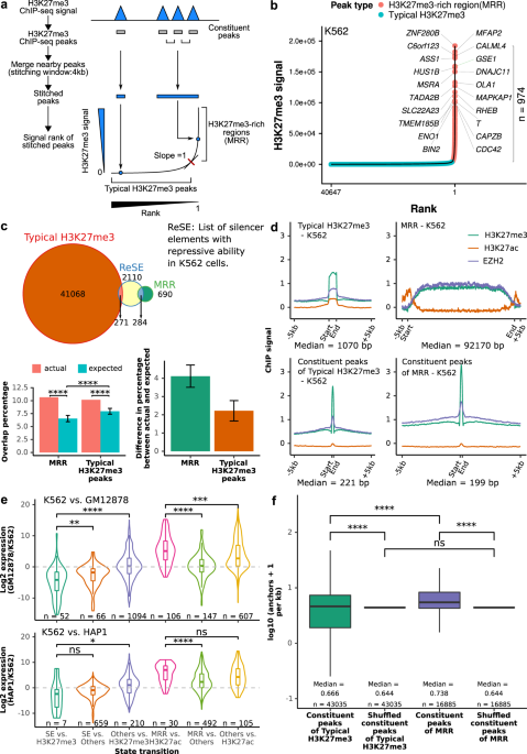 H3k27me3 Rich Genomic Regions Can Function As Silencers To Repress Gene Expression Via Chromatin Interactions Nature Communications