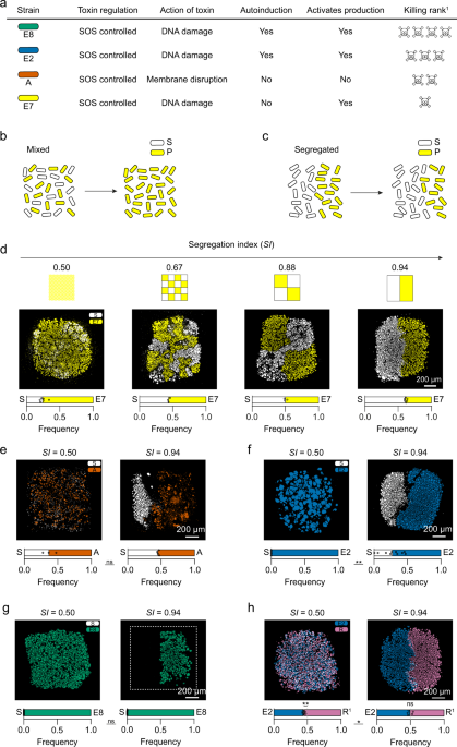 When Wavelengths Collide: Bias in Cell Abundance Measurements Due