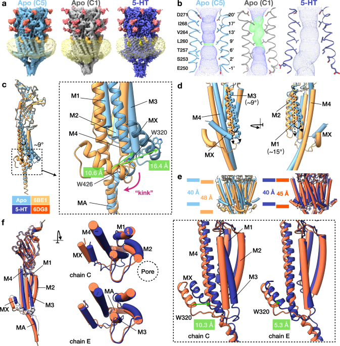 Asymmetric Opening Of The Homopentameric 5 Ht 3a Serotonin Receptor In Lipid Bilayers Nature Communications