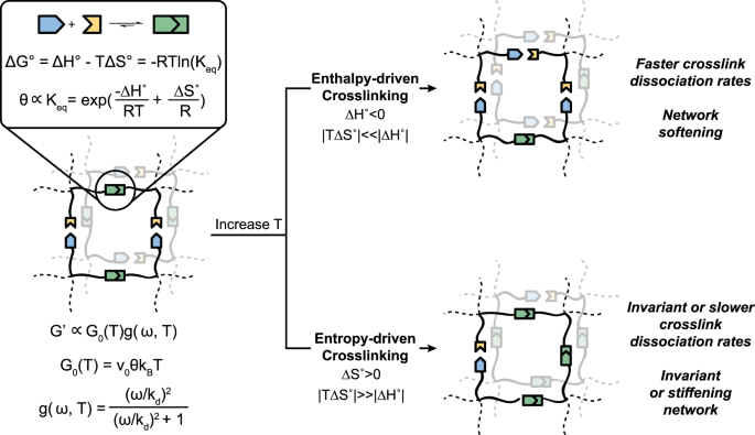 Physical Networks From Entropy Driven Non Covalent Interactions Nature Communications