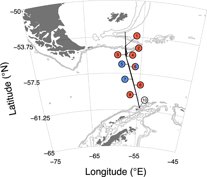 Manganese Co Limitation Of Phytoplankton Growth And Major Nutrient Drawdown In The Southern Ocean Nature Communications