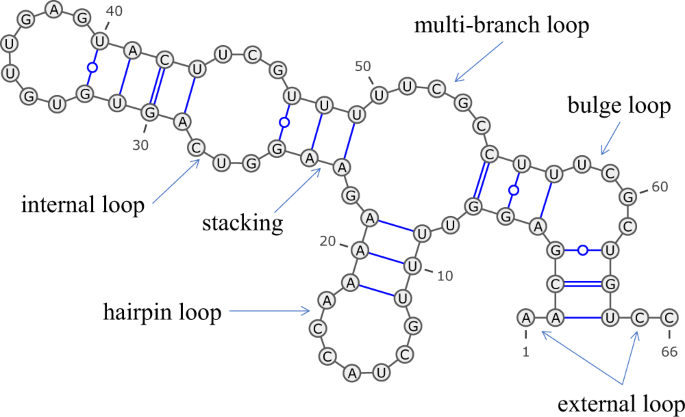 Rna Secondary Structure Prediction Using Deep Learning With Thermodynamic Integration Nature Communications