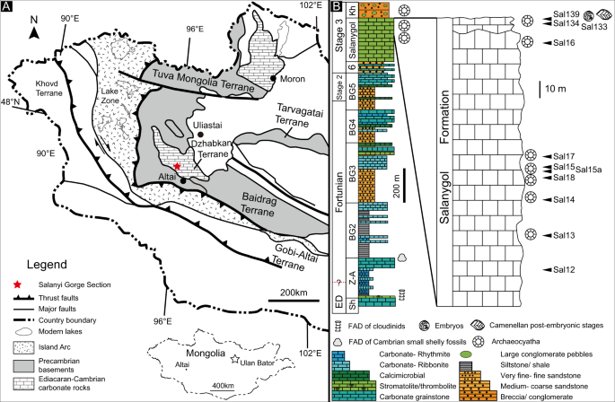 Exceptionally Preserved Early Cambrian Bilaterian Developmental Stages From Mongolia Nature Communications