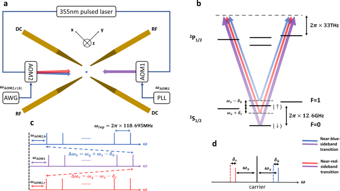 Observation Of A Quantum Phase Transition In The Quantum Rabi Model With A Single Trapped Ion Nature Communications