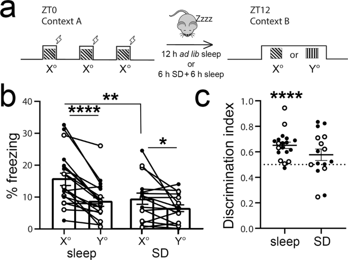 Causal Role For Sleep Dependent Reactivation Of Learning Activated Sensory Ensembles For Fear Memory Consolidation Nature Communications Causal Role For Sleep Dependent Reactivation Of Learning Activated Sensory Ensembles For Fear Memory Consolidation Nature Communications