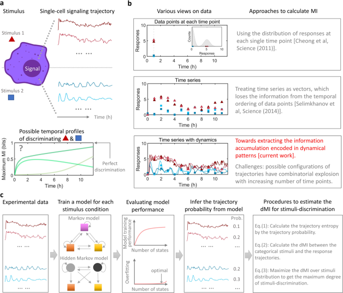 Mouse number and measurement accuracy of categorical responses defined