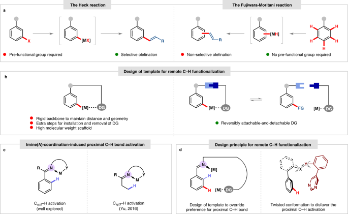 Imine As A Linchpin Approach For Meta C H Functionalization Nature Communications