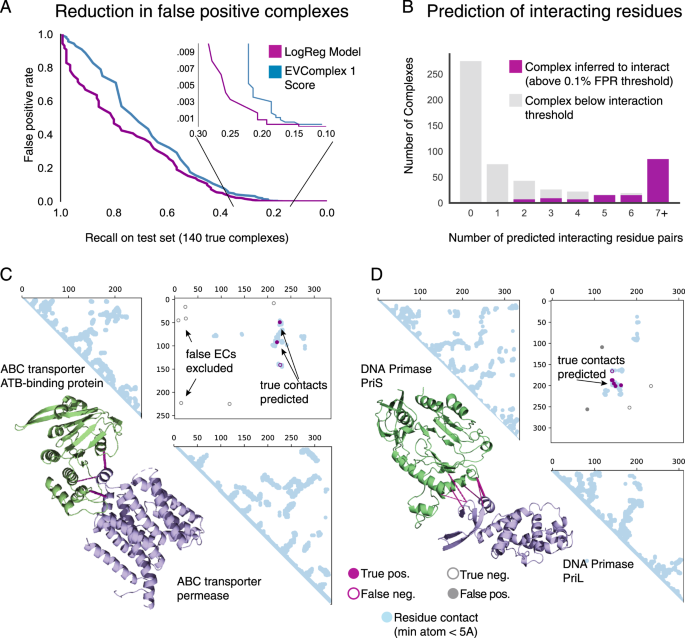 Coevolution at the proteome scale - Institute for Protein Design