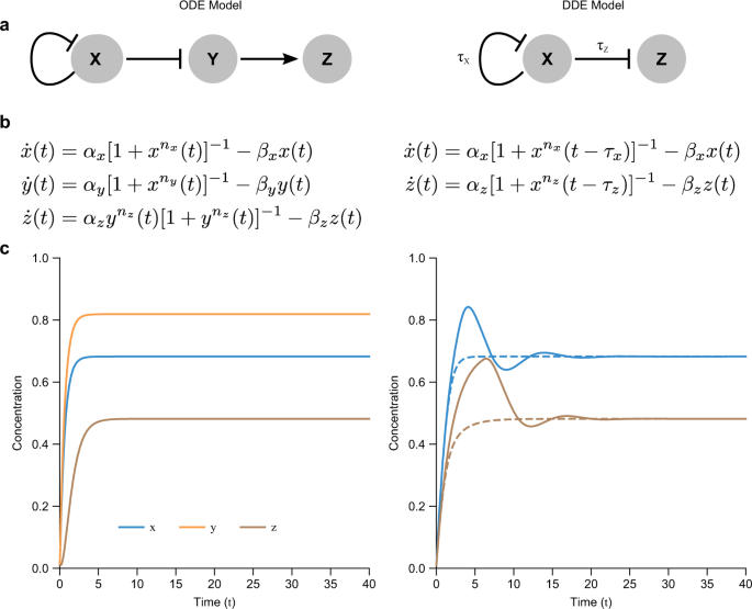 Nonlinear Delay Differential Equations And Their Application To Modeling Biological Network Motifs Nature Communications