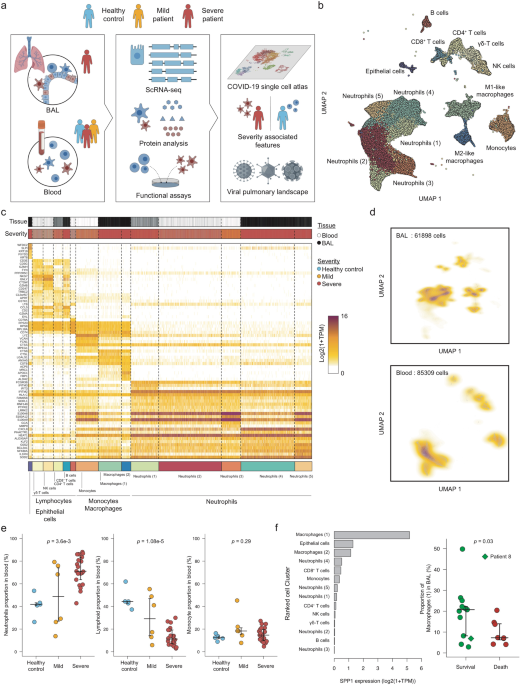 Deciphering The State Of Immune Silence In Fatal Covid 19 Patients Nature Communications